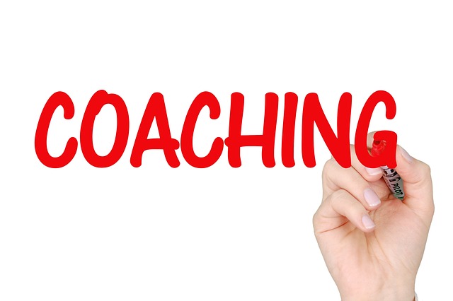 How to Choose the Right Business Consultant for Your Needs
